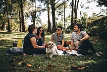 A group of people sit on lush green grass for a picnic with a small dog. This shows a spirit of friendship and camaraderie.